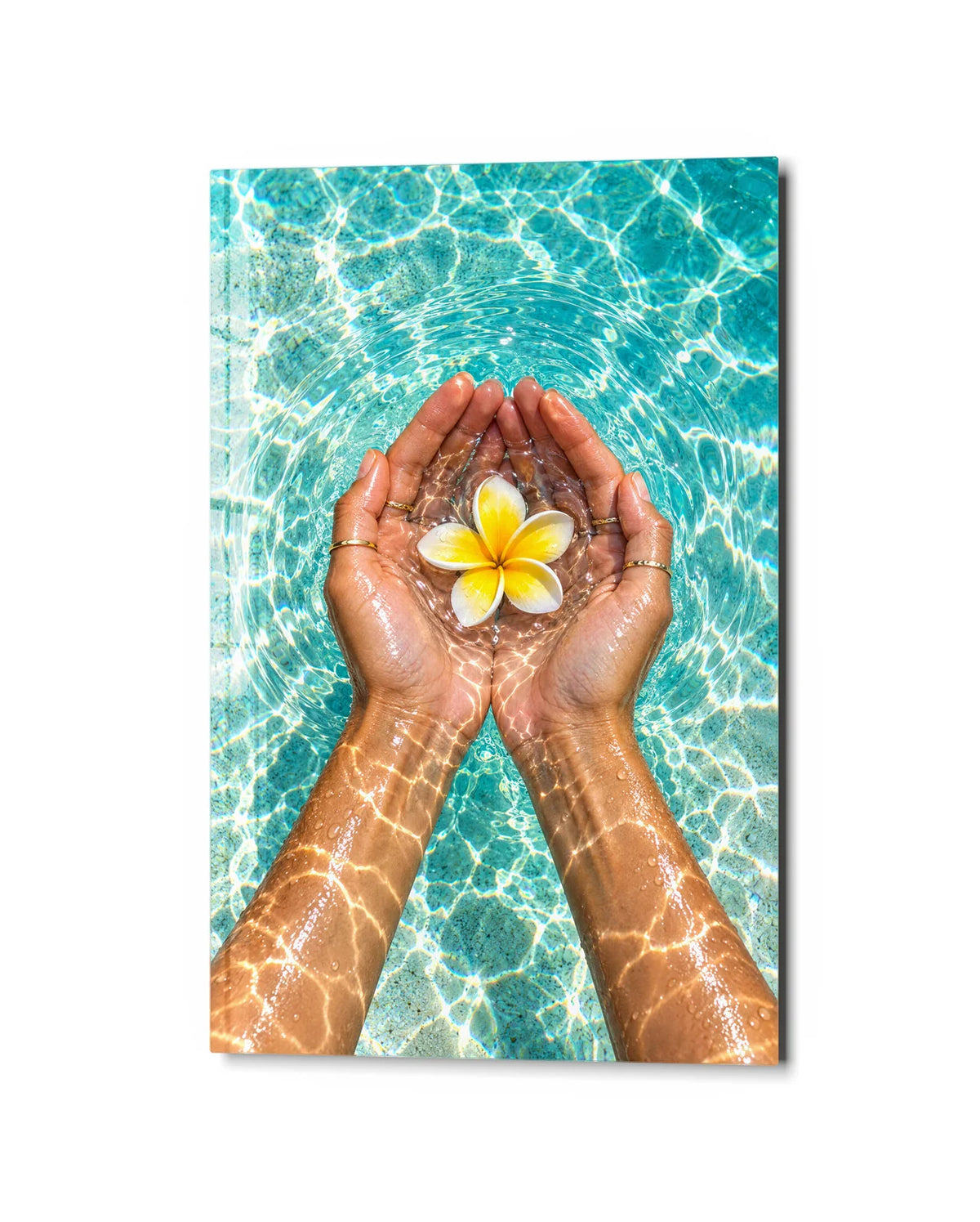 Flower in Cupped Hands — studio view of glass wall art