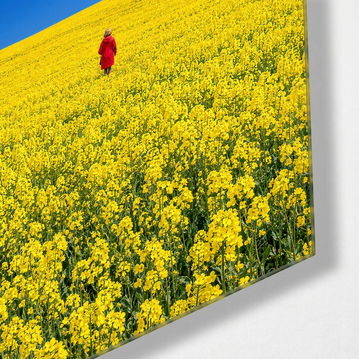 Red Coat in the Yellow Field — corner detail of glass wall art