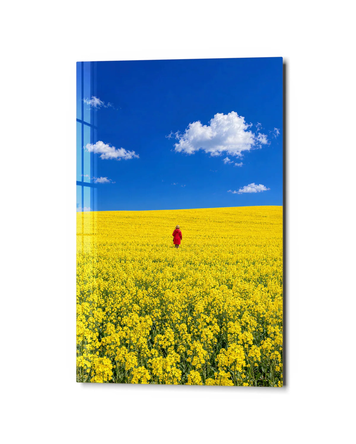 Red Coat in the Yellow Field — studio view of glass wall art