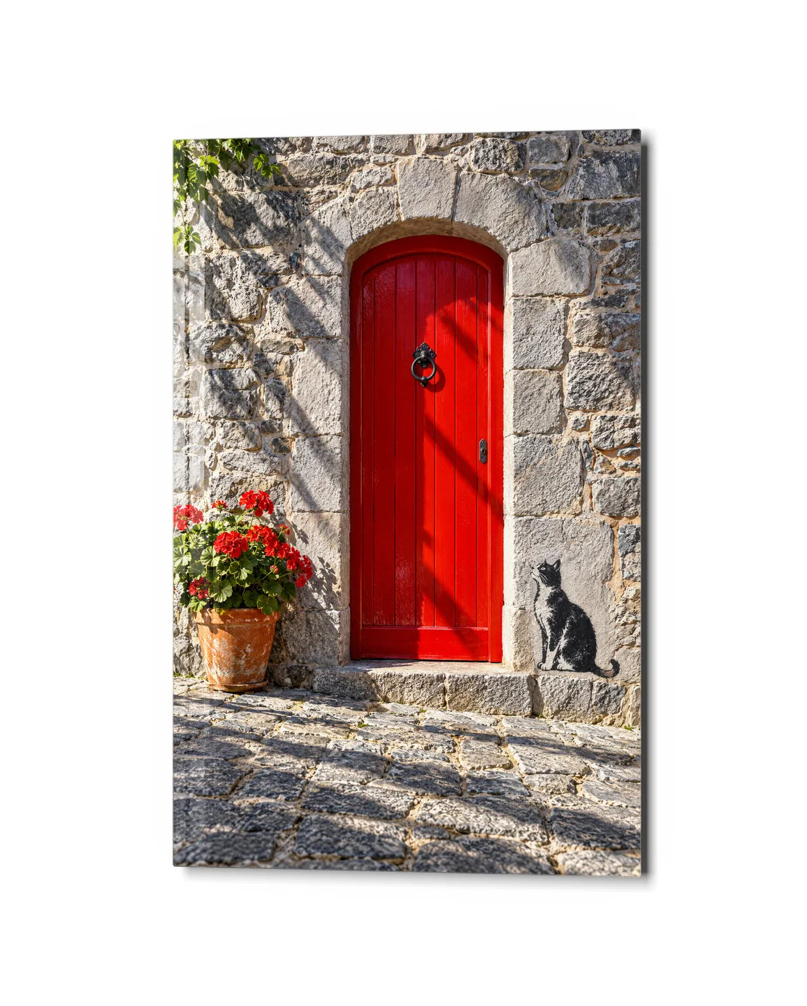 Cat by the Red Door — studio view of glass wall art