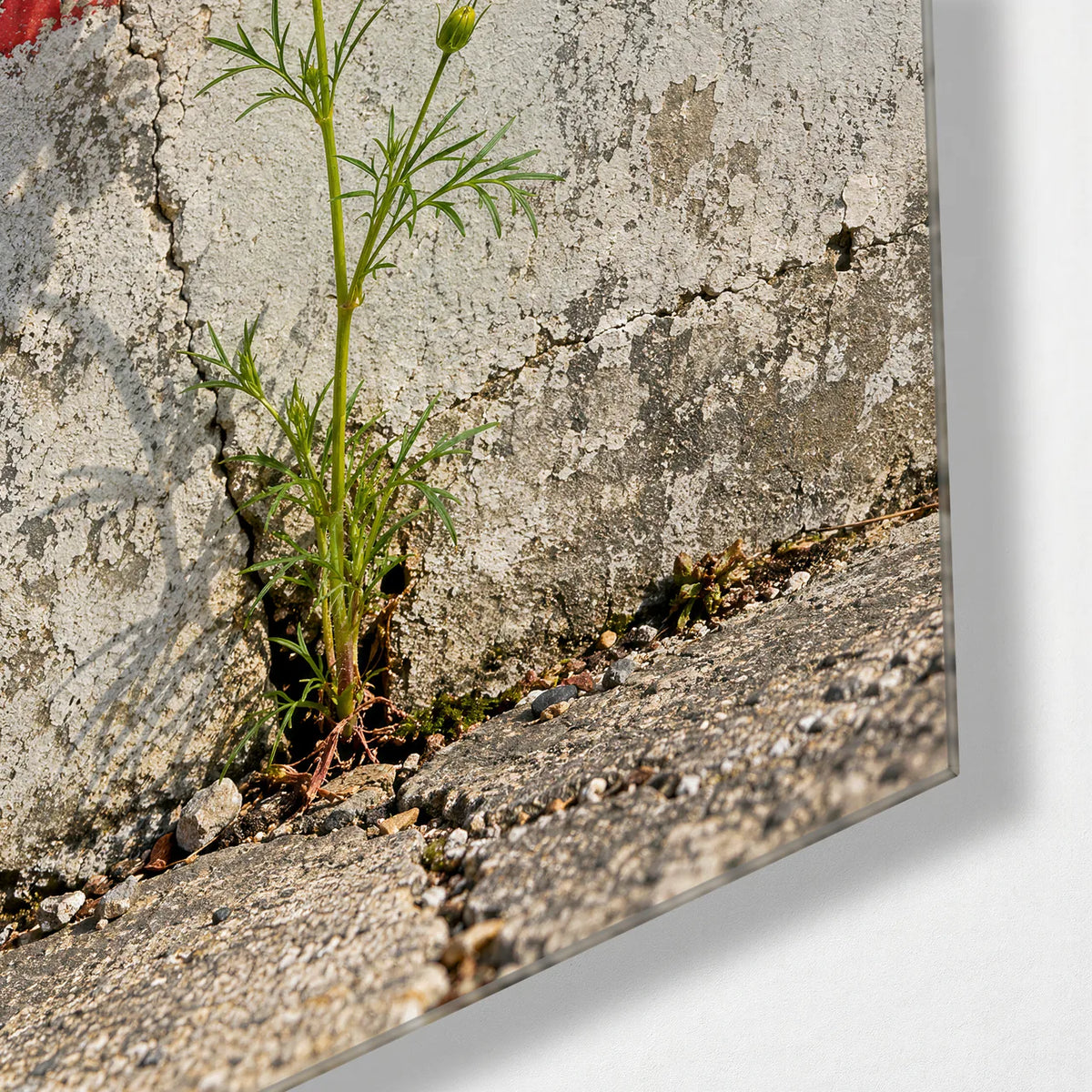 Flower in the Crack — corner detail of glass wall art