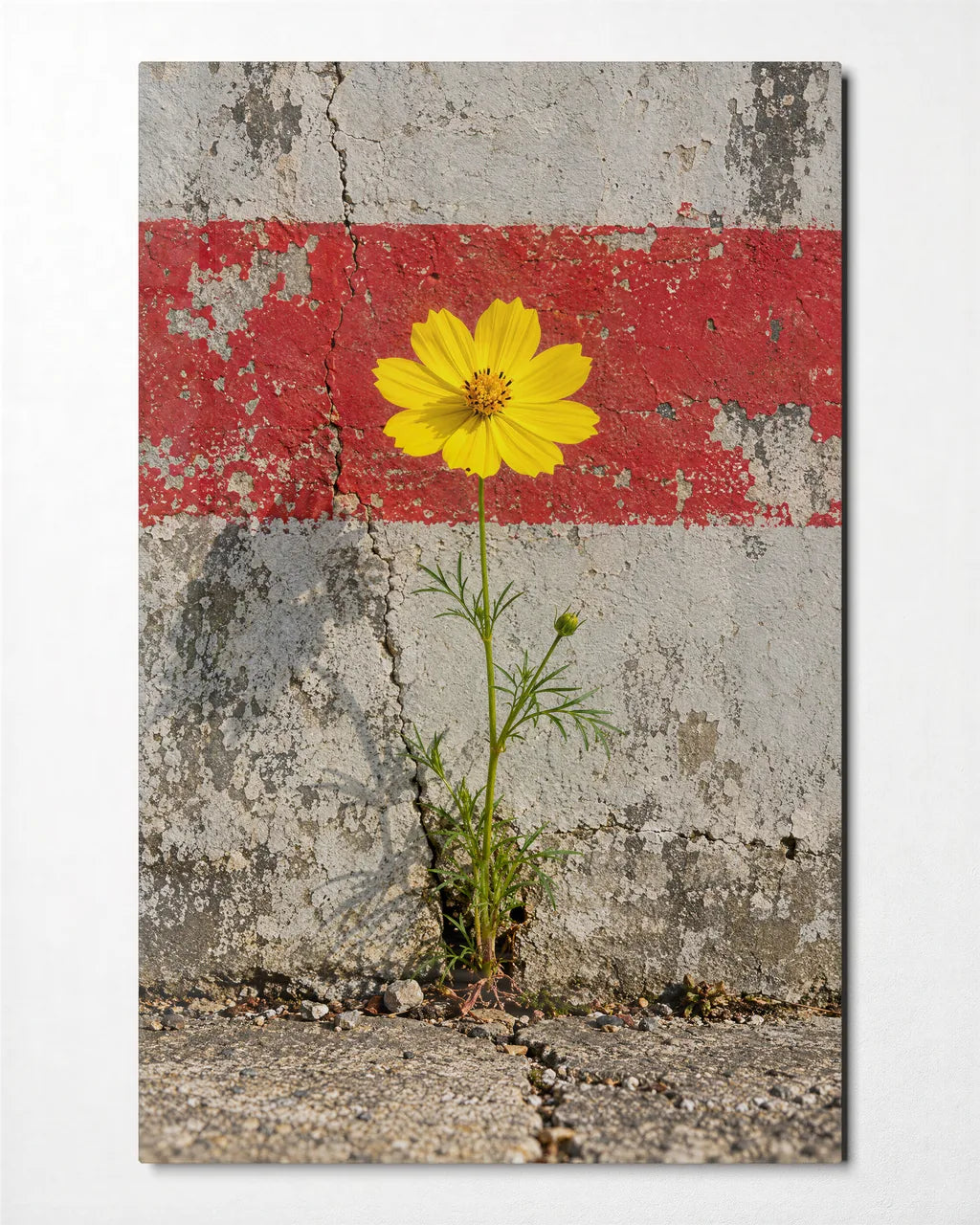 Flower in the Crack — front view of glass wall art