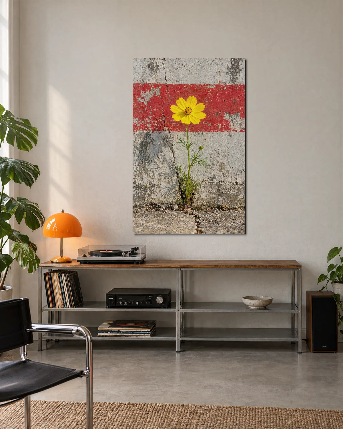 Flower in the Crack — shown in a living space