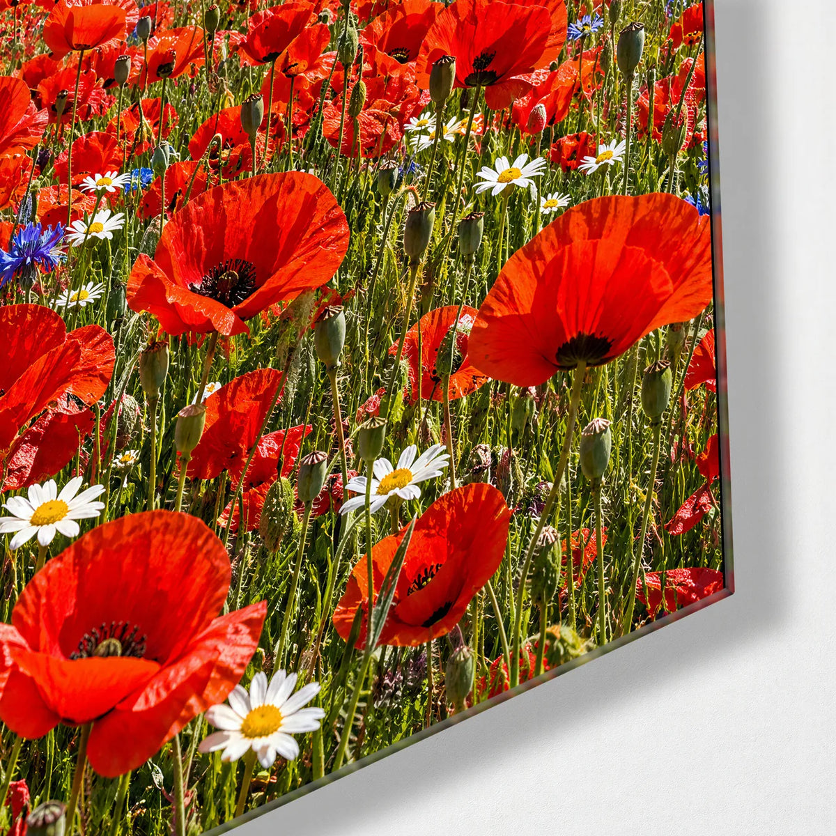 Poppies and Cornflowers Duo — corner detail of one glass panel