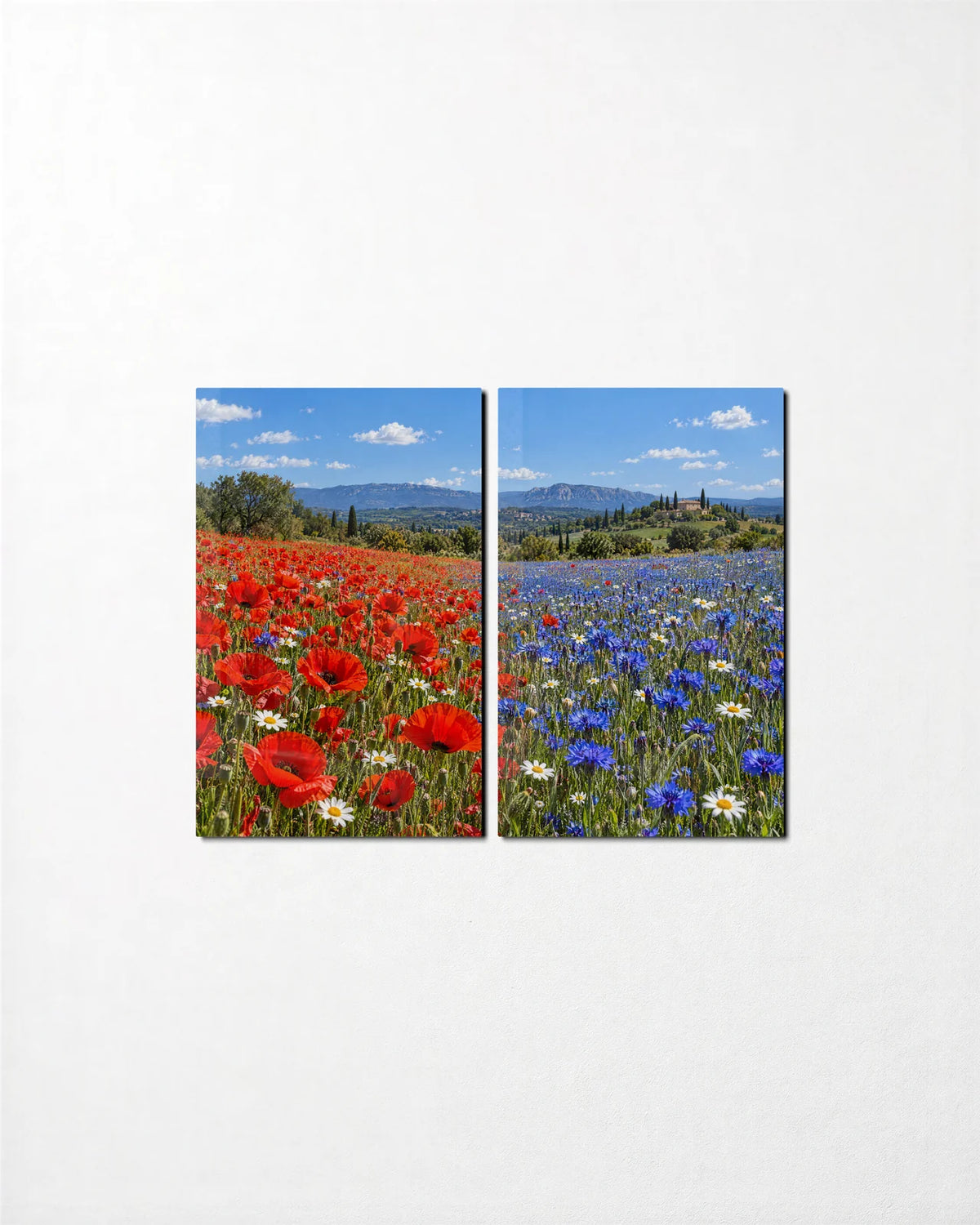 Poppies and Cornflowers Duo — 2-panel glass wall art set on a wall