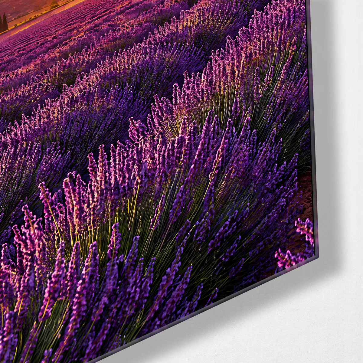Lavender Fields Trio — corner detail of one glass panel