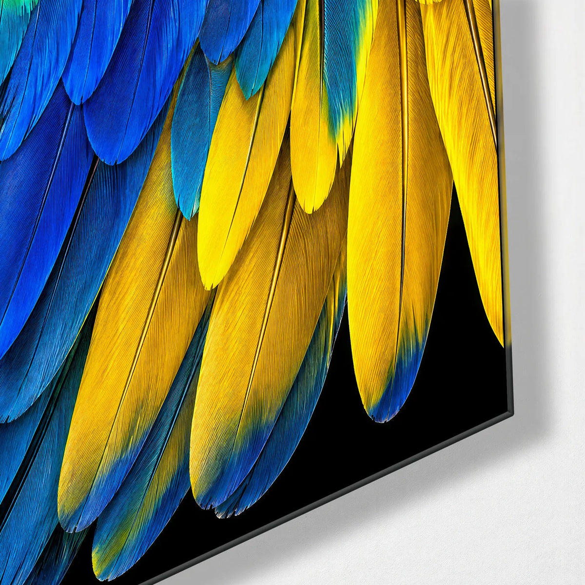 Macaw Wing Trio — corner detail of one glass panel
