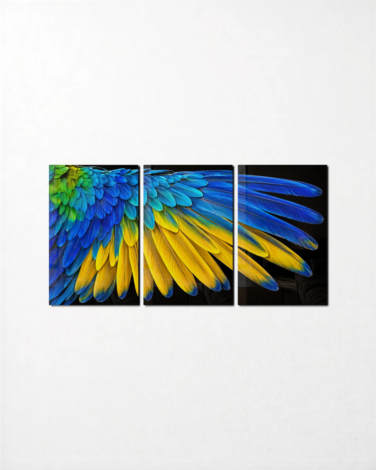 Macaw Wing Trio — 3-panel glass wall art set on a wall