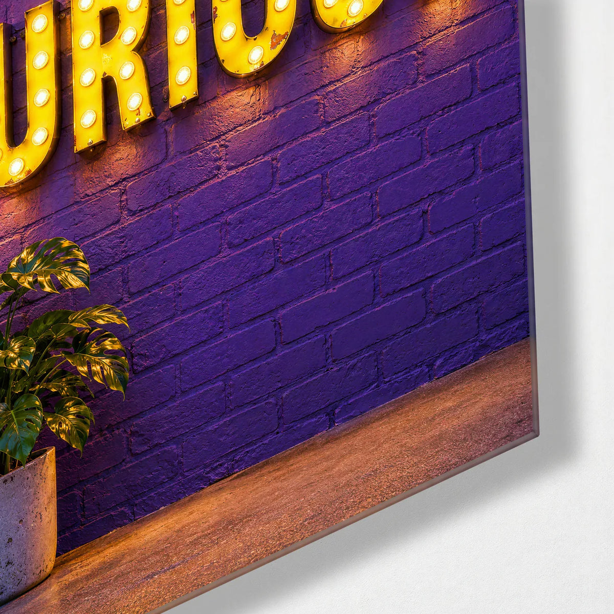 Stay Curious — corner detail of glass wall art