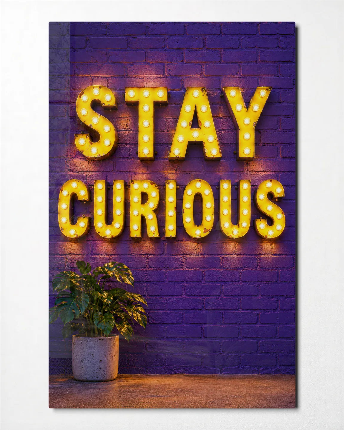 Stay Curious — front view of glass wall art