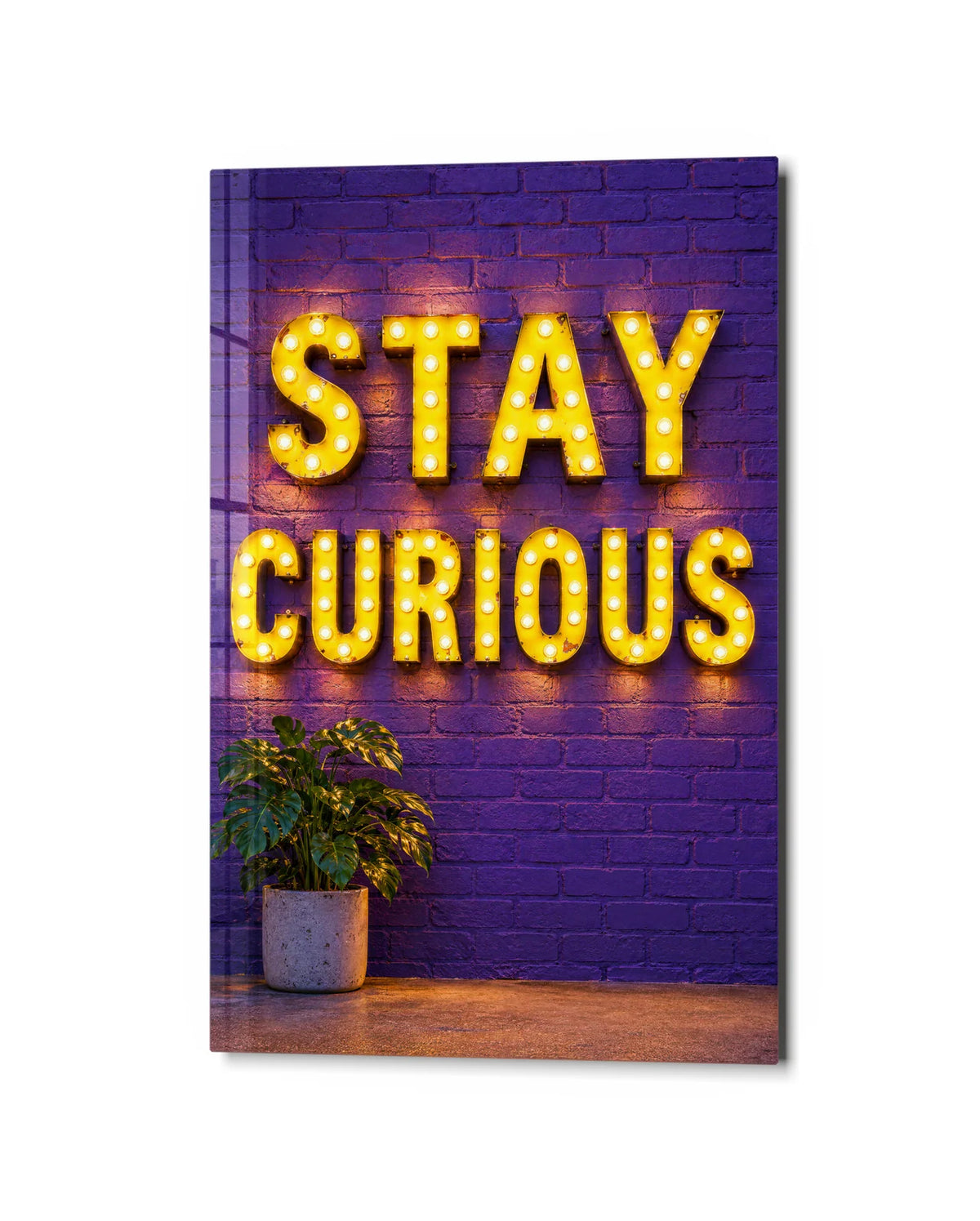Stay Curious — studio view of glass wall art