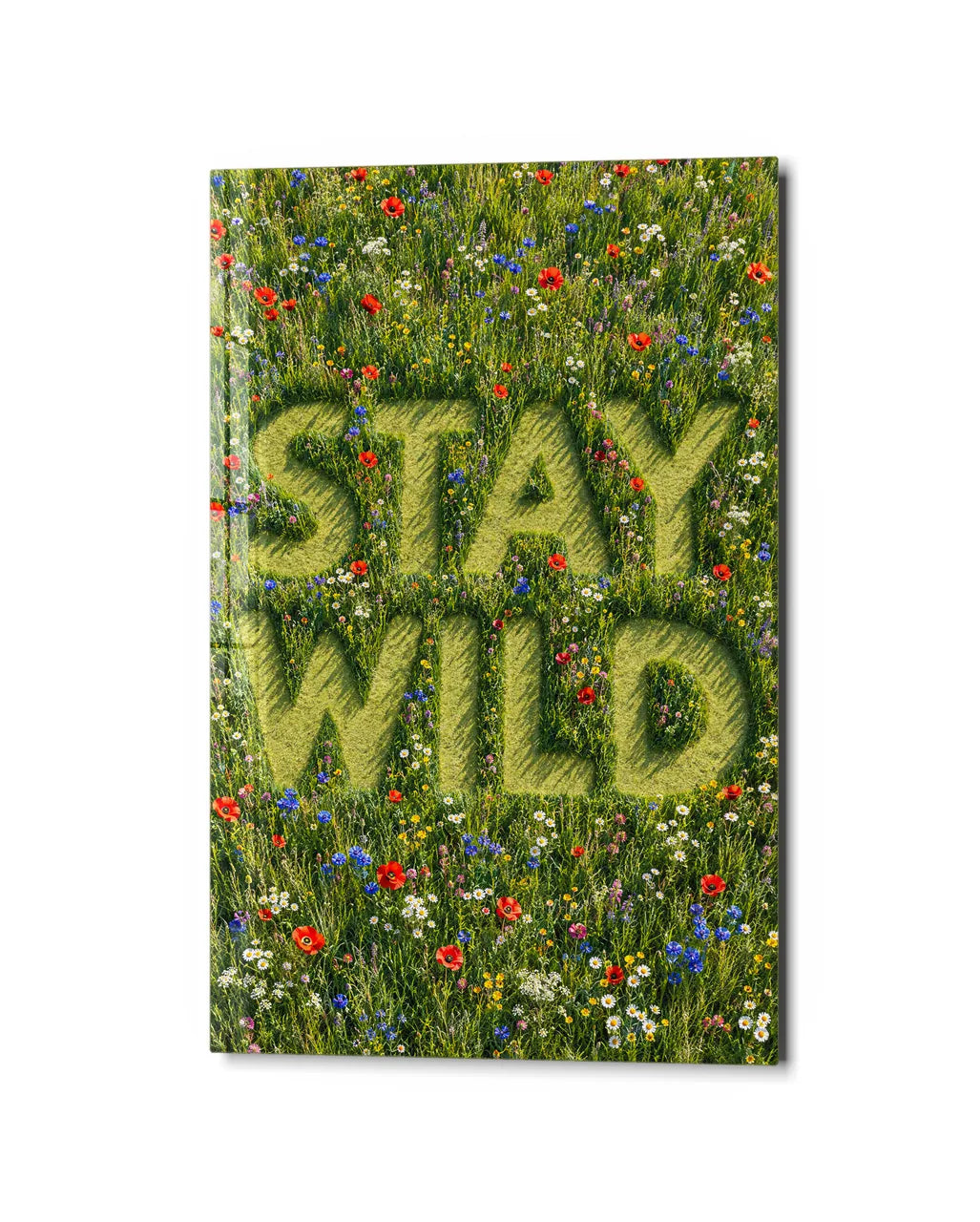 Stay Wild Meadow — studio view of glass wall art