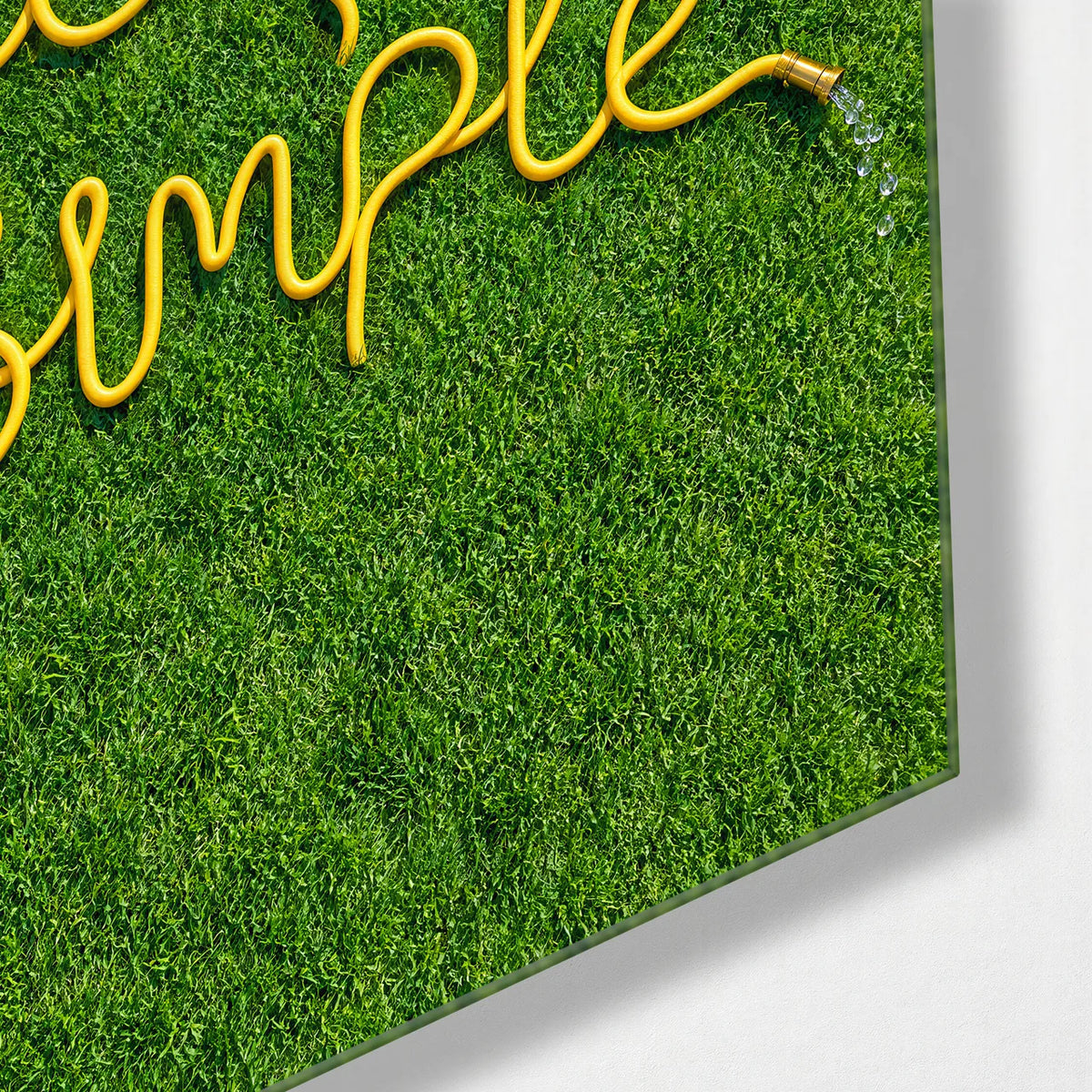 Keep It Simple Hose — corner detail of glass wall art