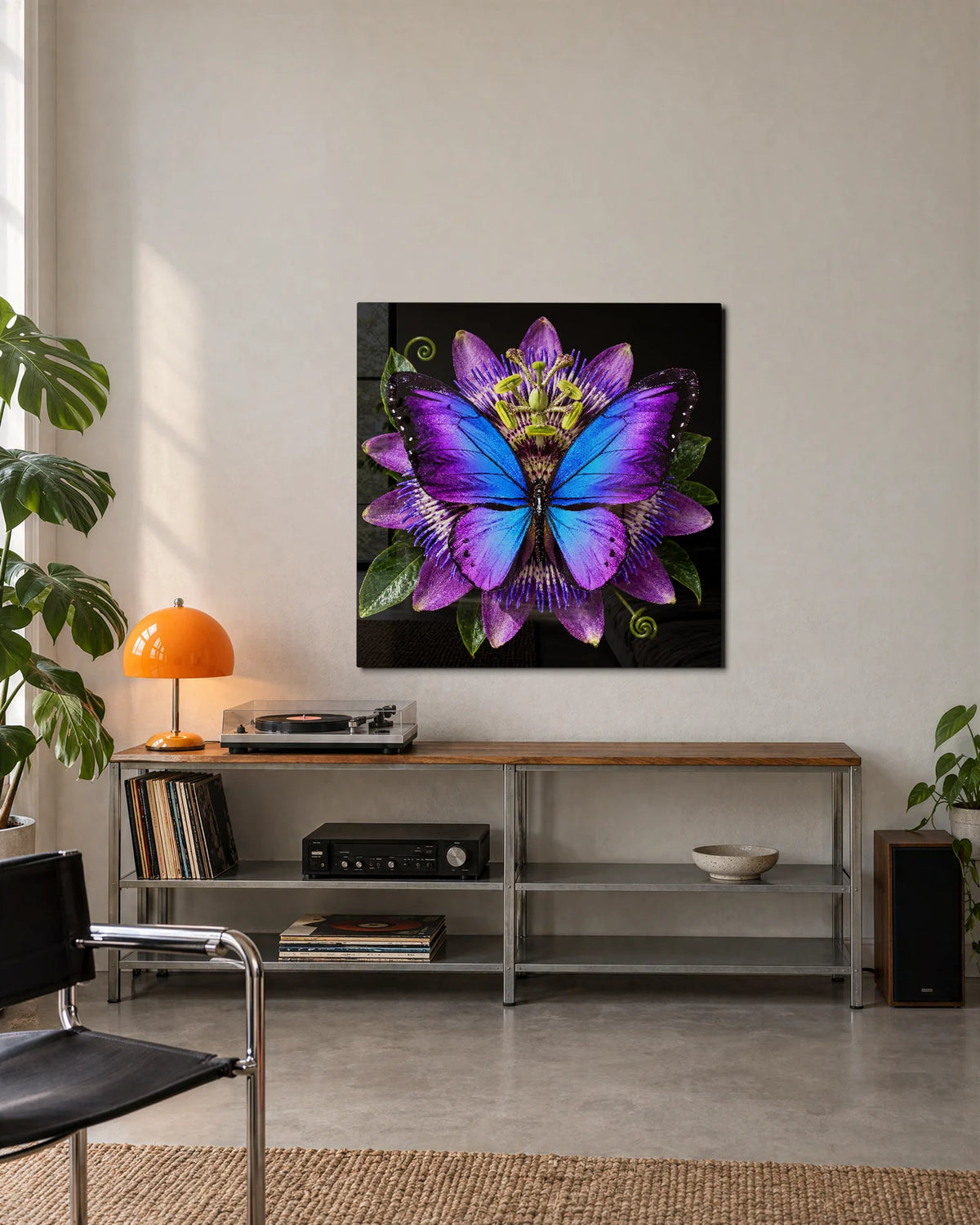 Morpho on Passionflower — shown in a living space
