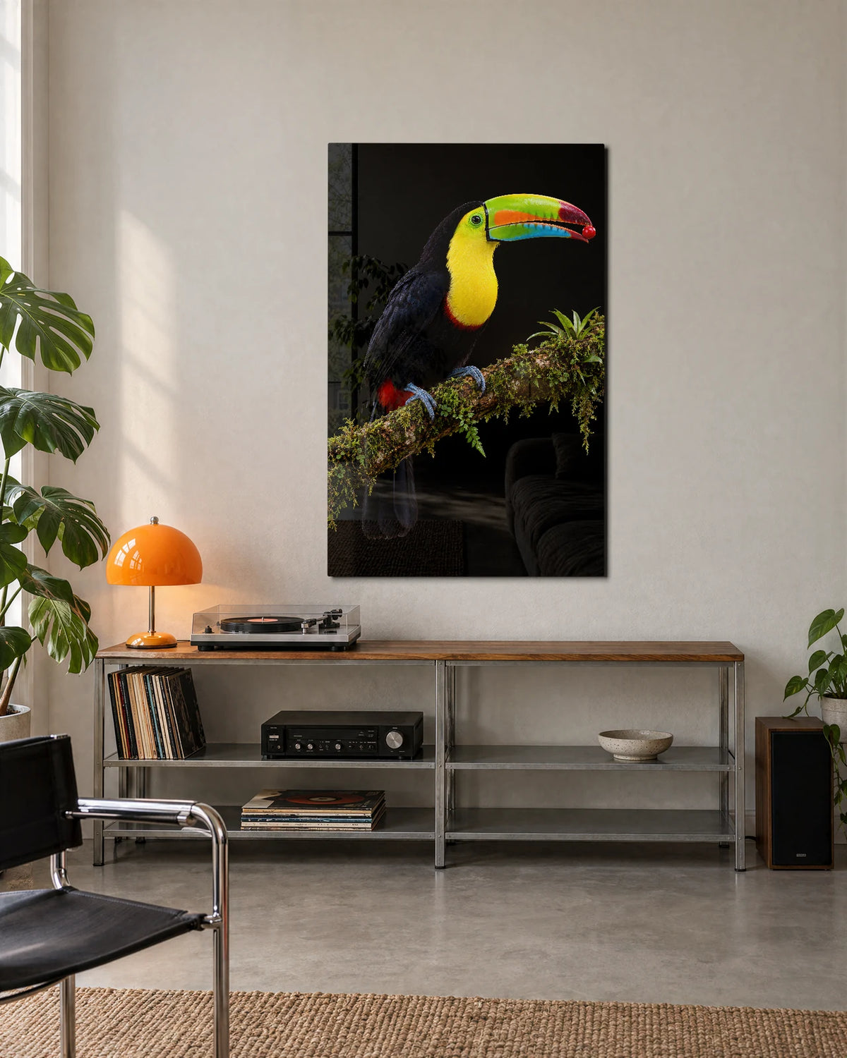 Toucan on Black — shown in a living space