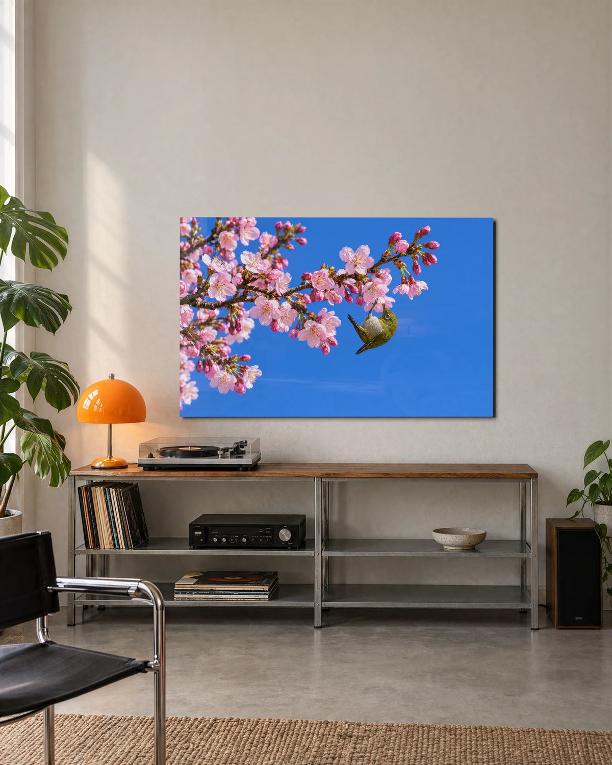 White-Eye in Blossom — shown in a living space