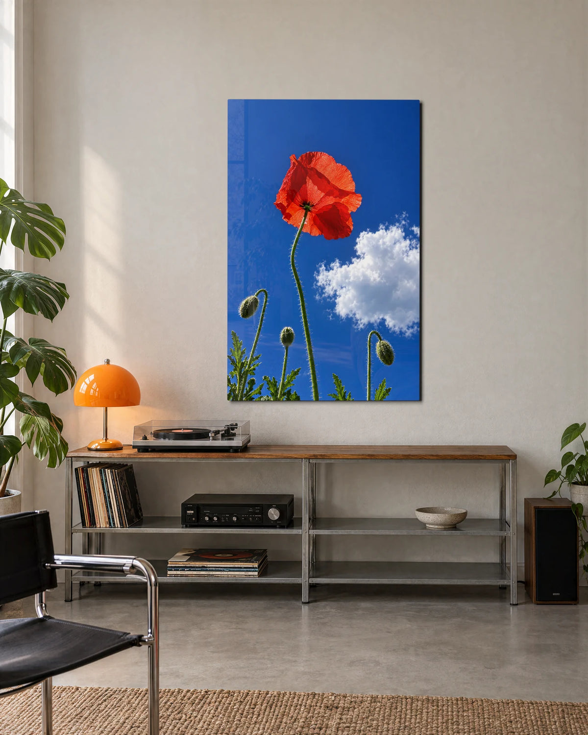 One Poppy in the Sky — shown in a living space
