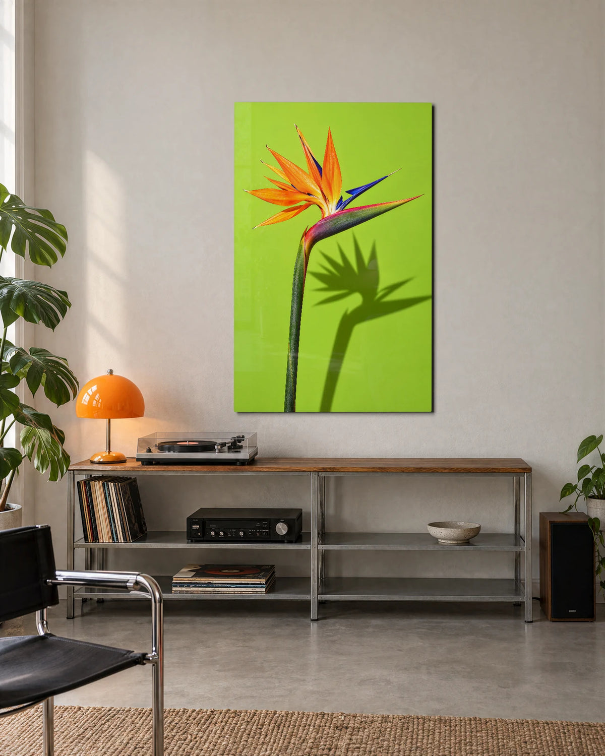 Strelitzia on Lime — shown in a living space
