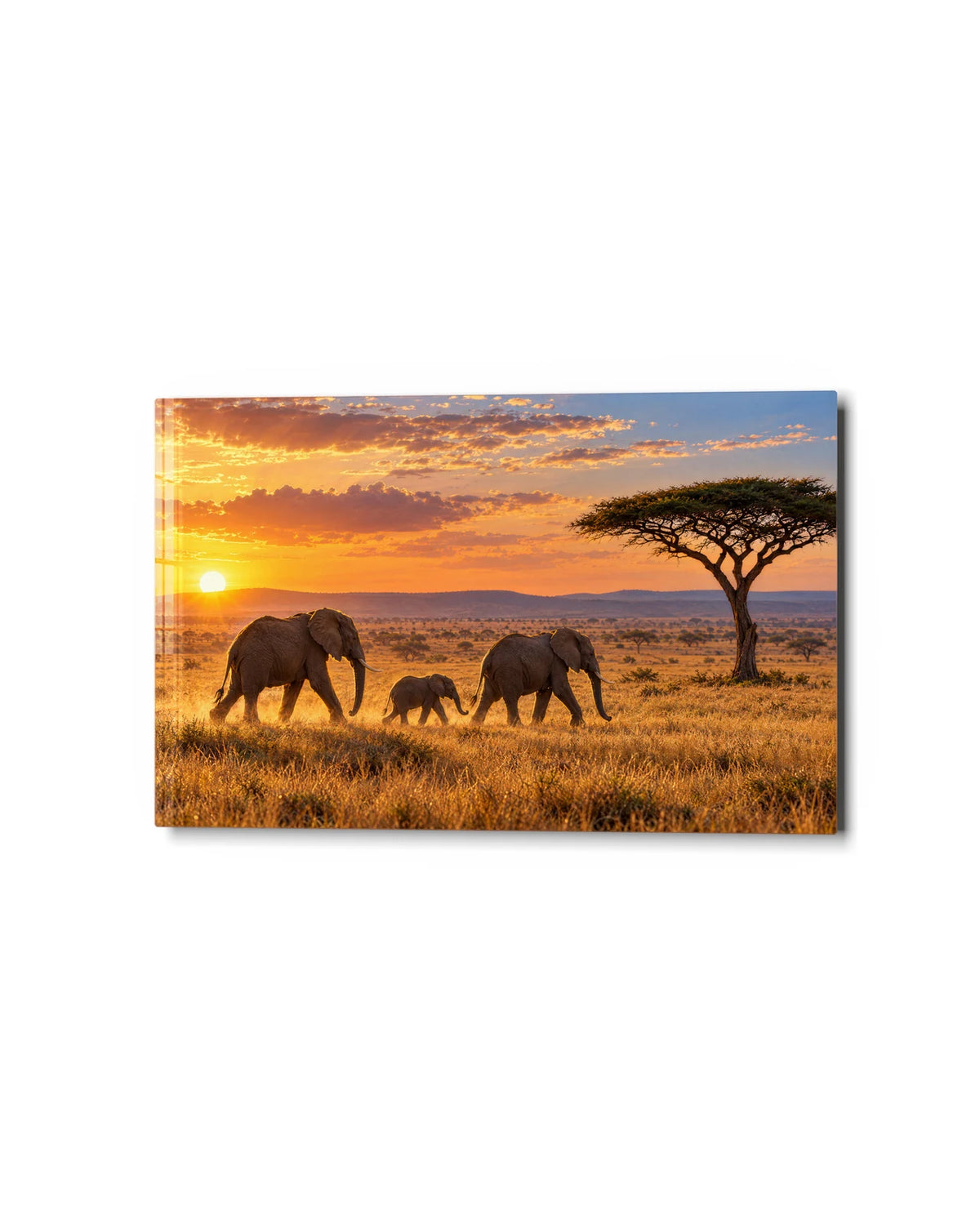 Elephants at Golden Hour — studio view of glass wall art