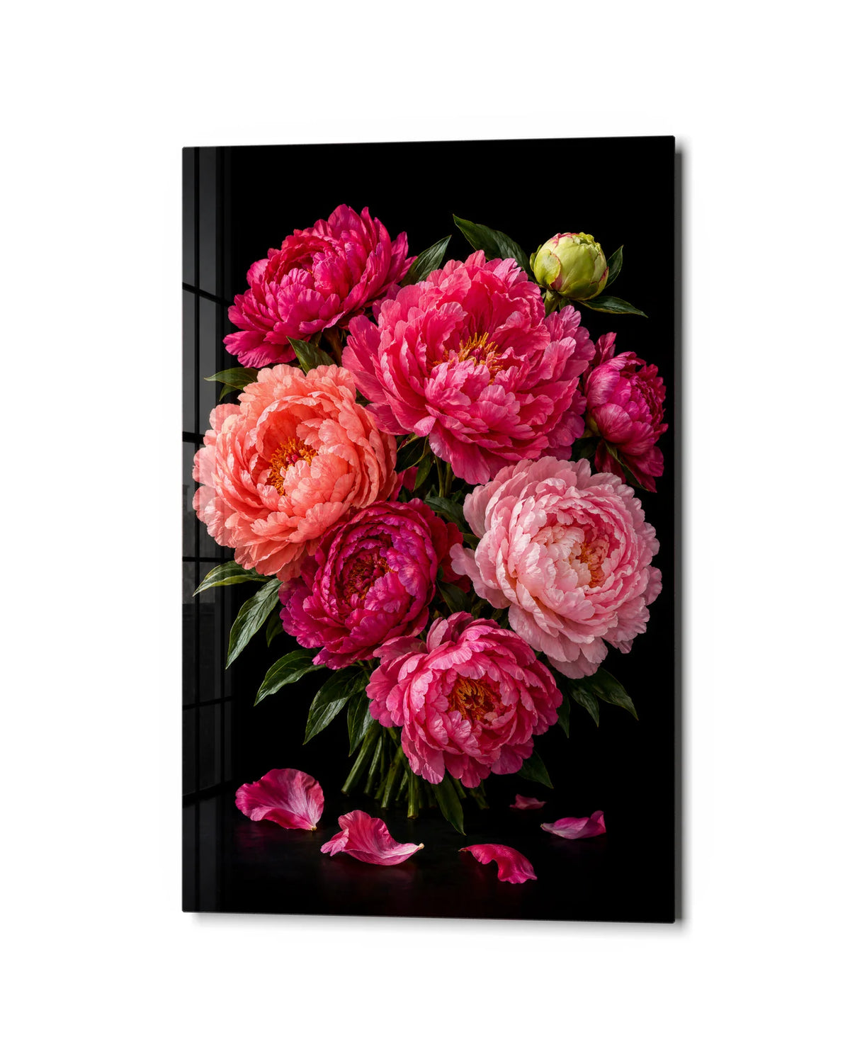 Peonies on Black — studio view of glass wall art