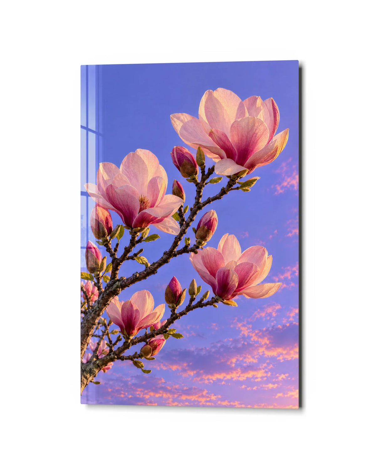 Magnolia Against the Sky — studio view of glass wall art