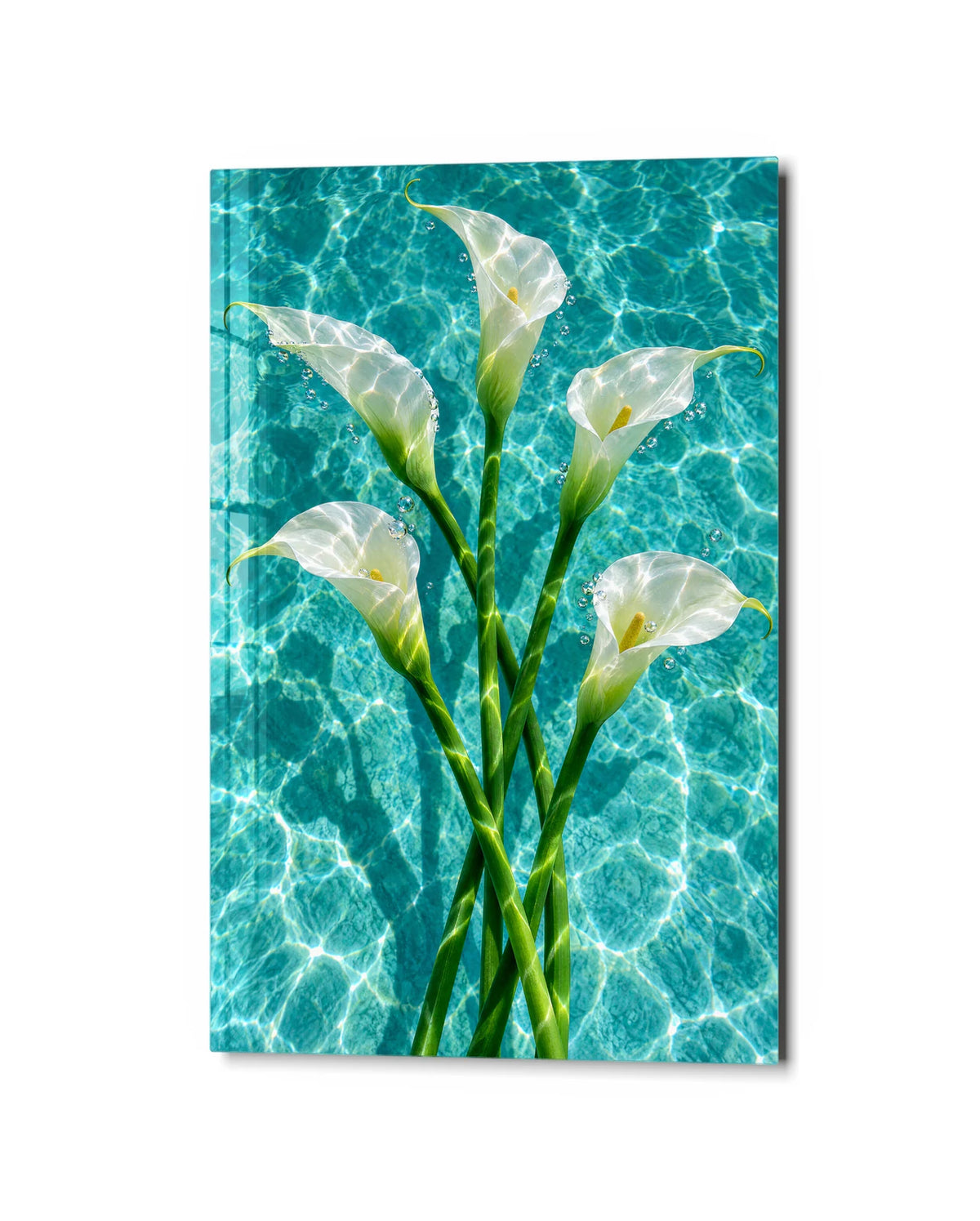 Callas in the Pool — studio view of glass wall art