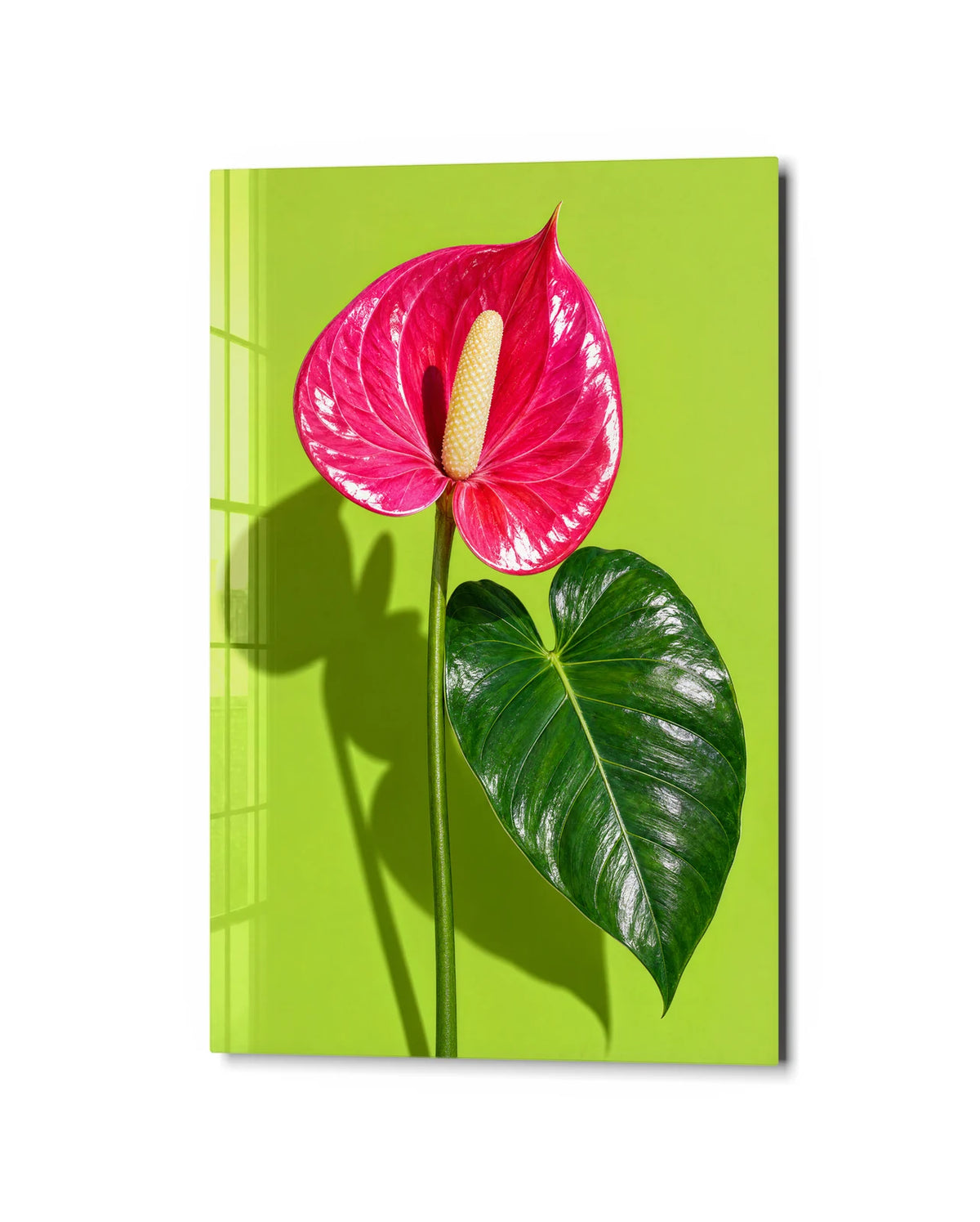 Anthurium on Lime — studio view of glass wall art