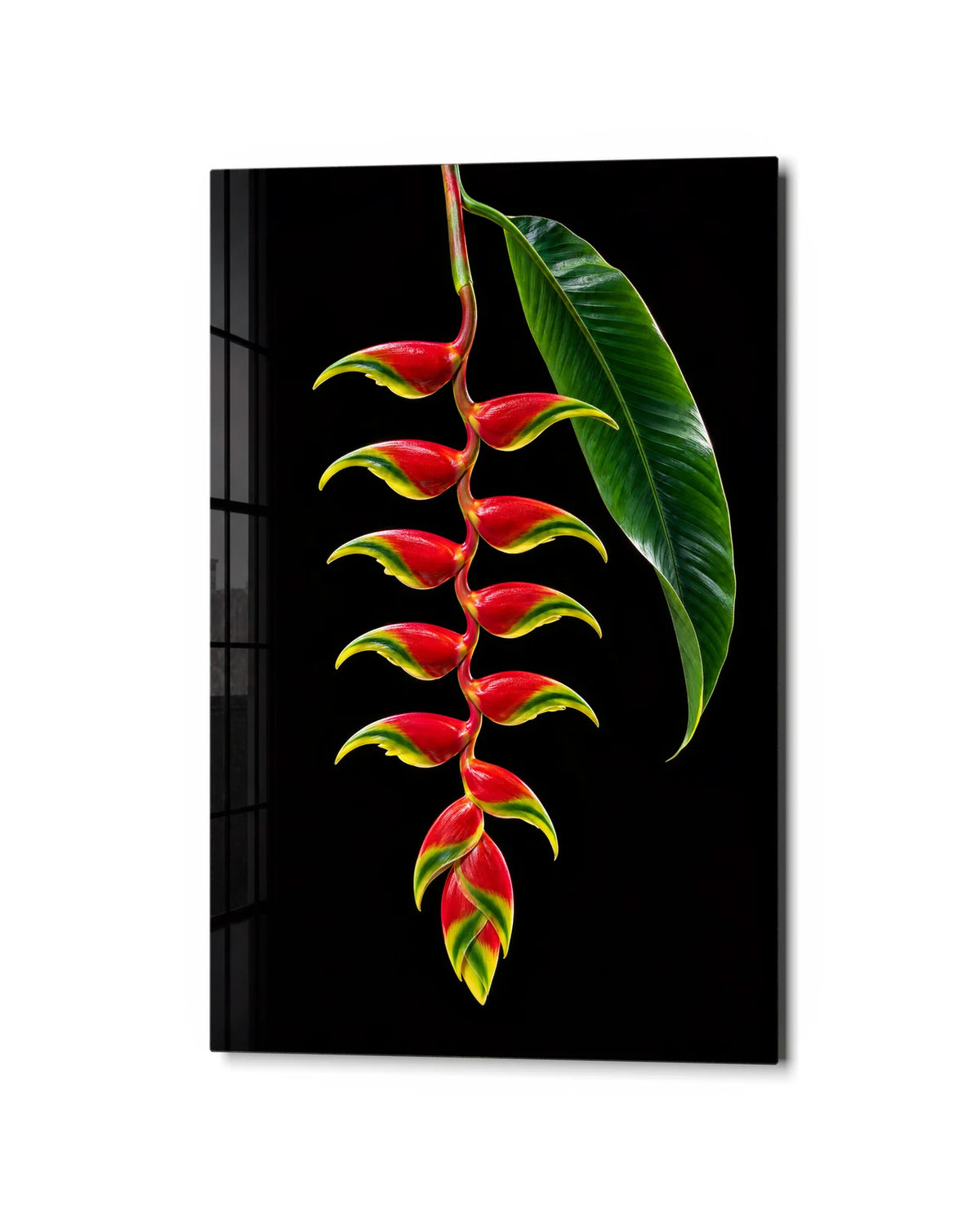 Heliconia on Black — studio view of glass wall art