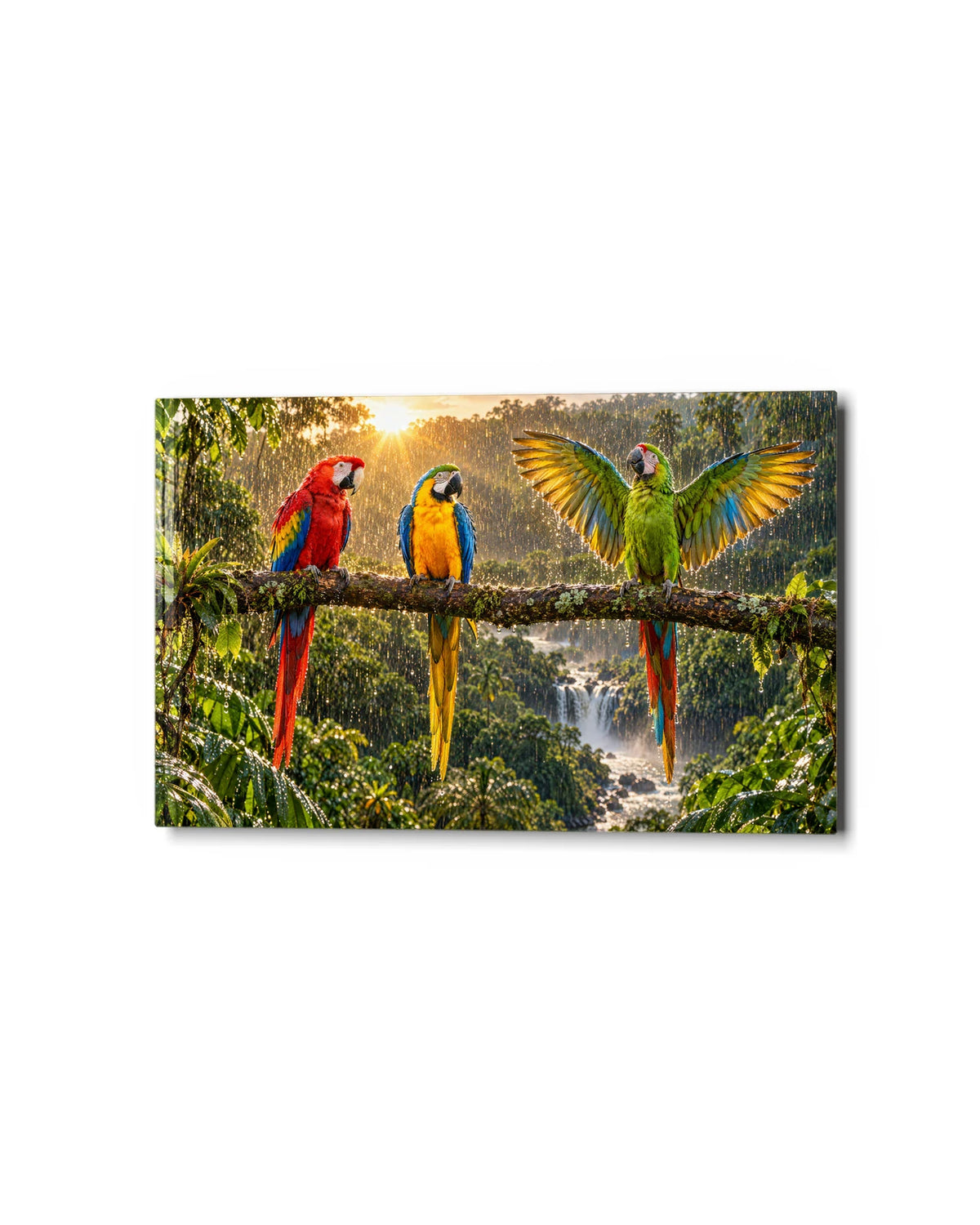 Three Macaws in the Rain — studio view of glass wall art