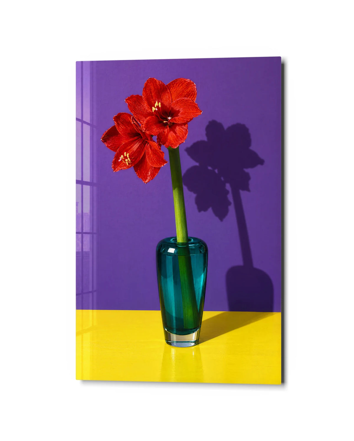Amaryllis Colour Block — studio view of glass wall art