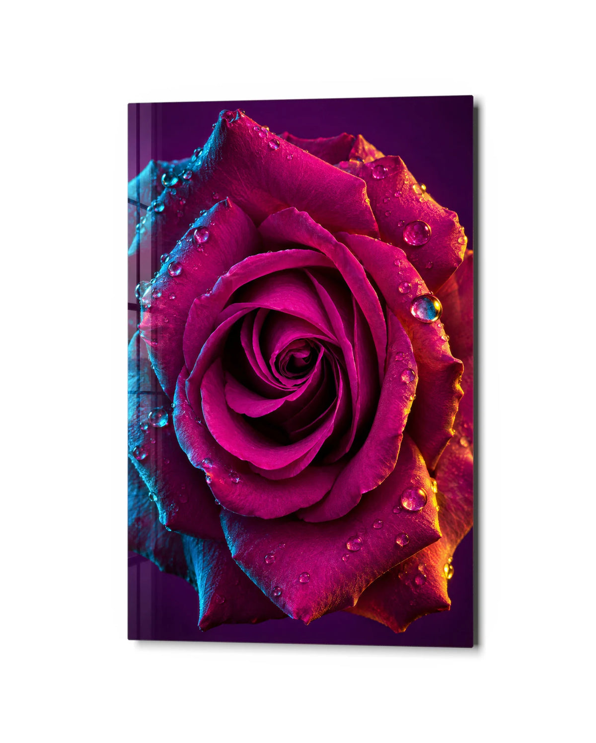 Rose in Two Lights — studio view of glass wall art