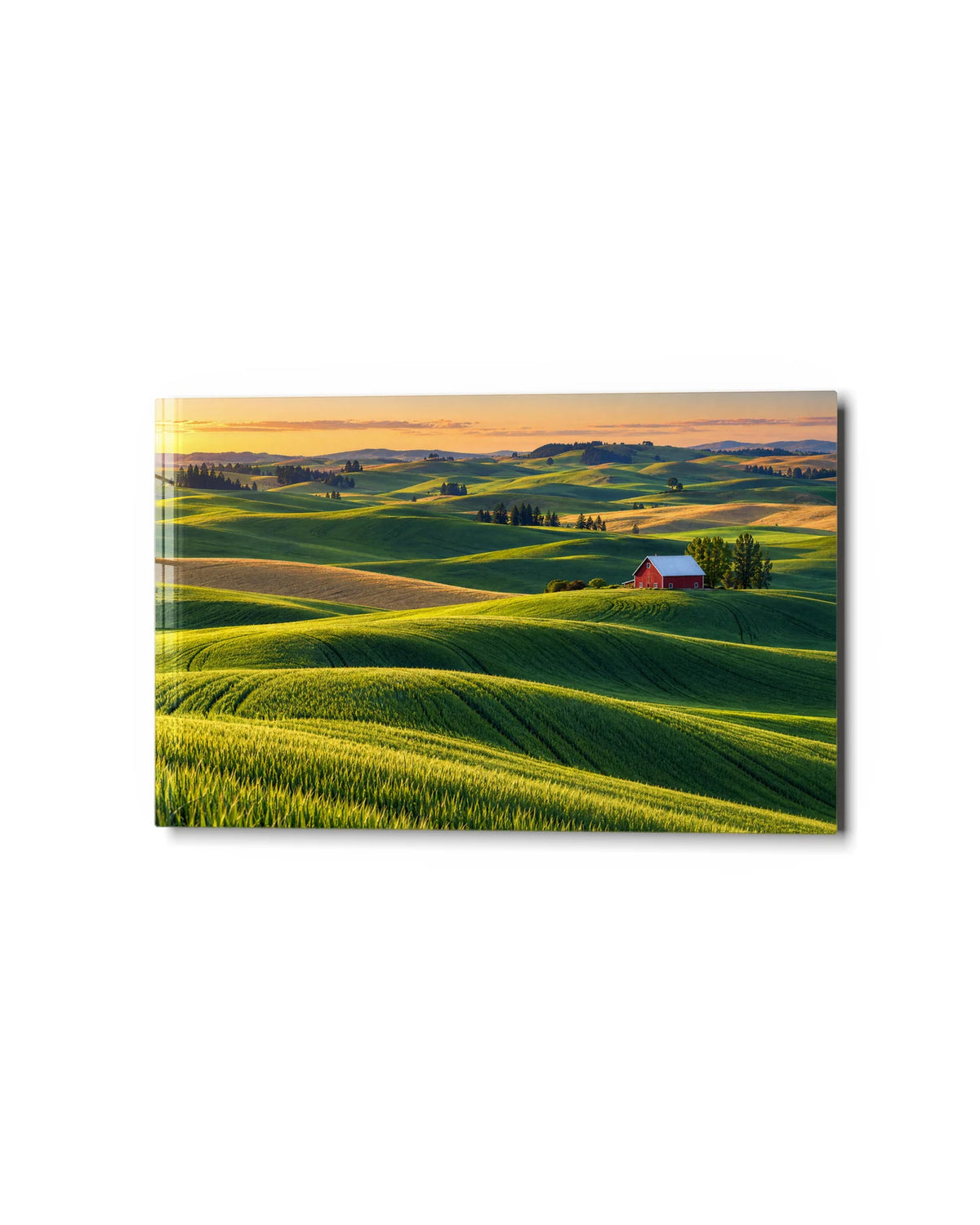 Palouse Hills — studio view of glass wall art