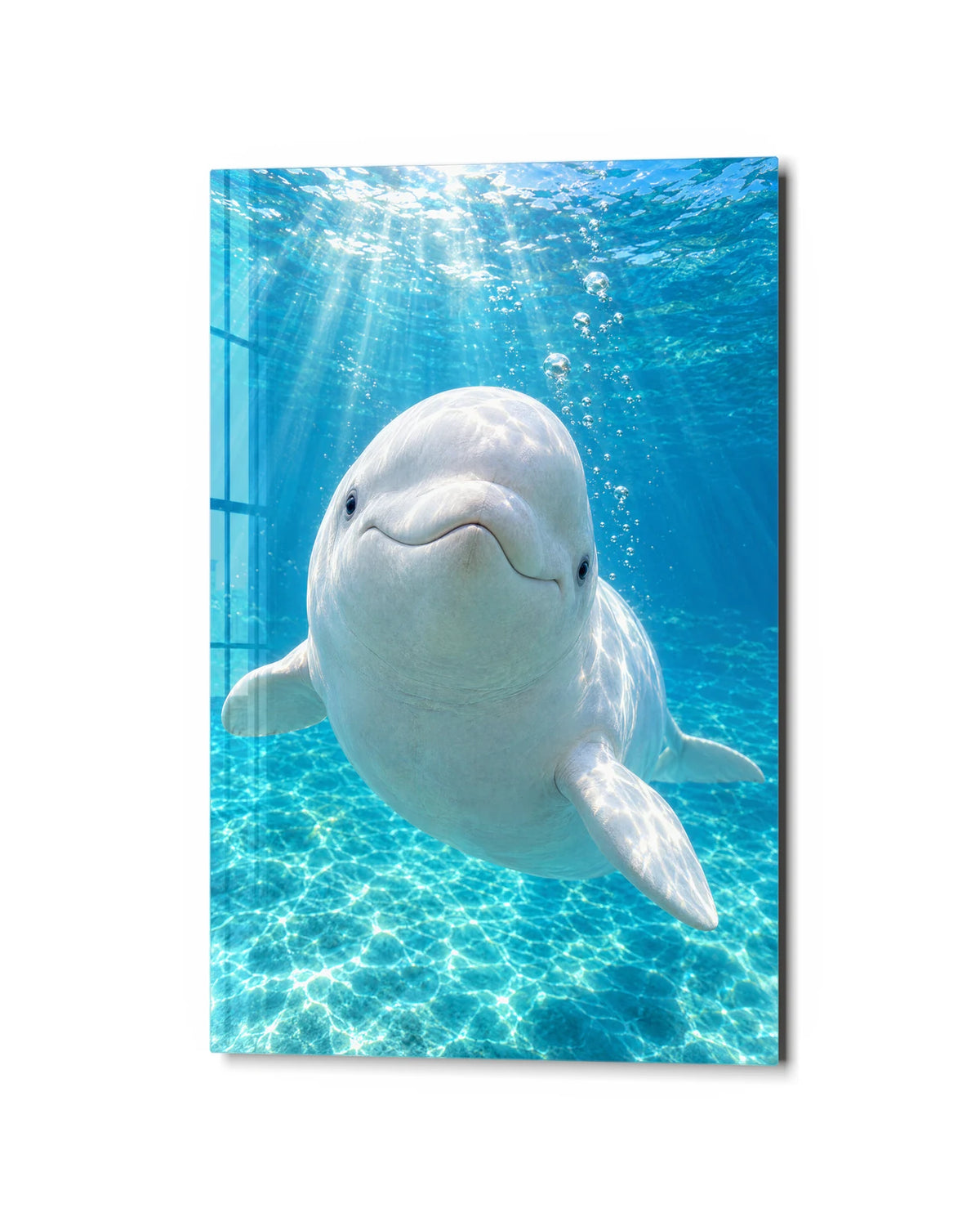 Beluga Smile — studio view of glass wall art