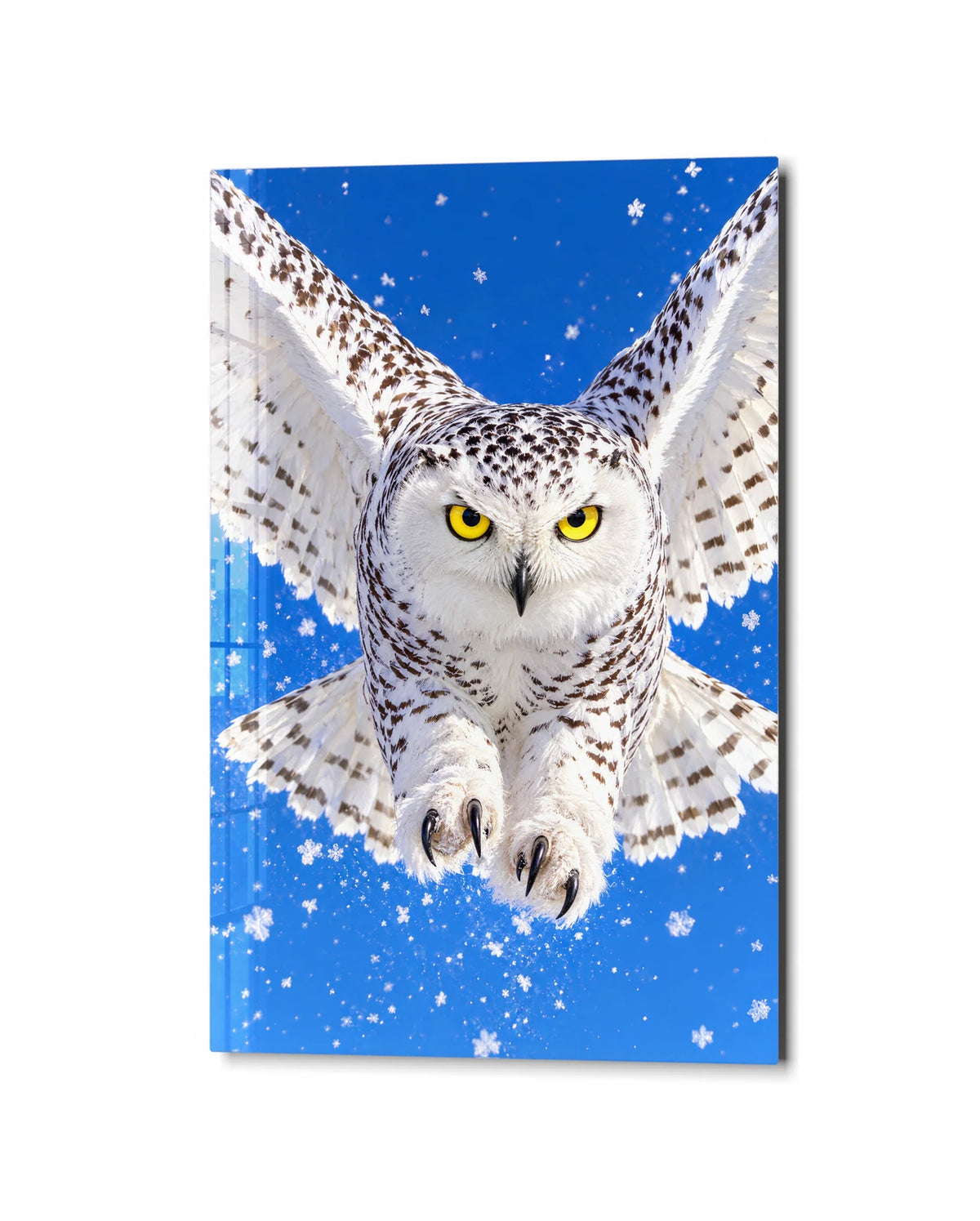 Snowy Owl in Flight — studio view of glass wall art