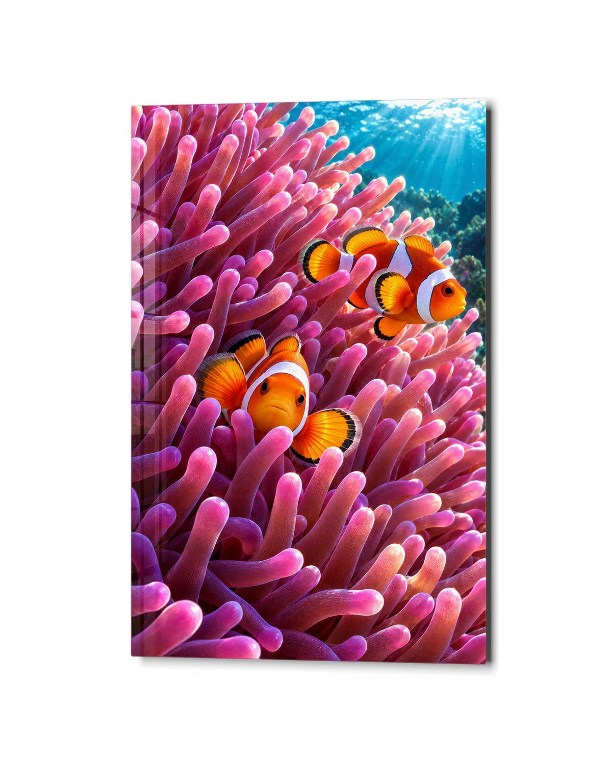 Clownfish Home — studio view of glass wall art
