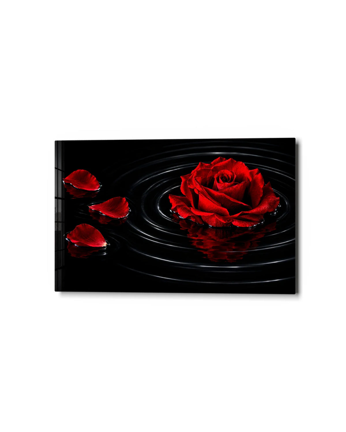 Rose on Black Water — studio view of glass wall art