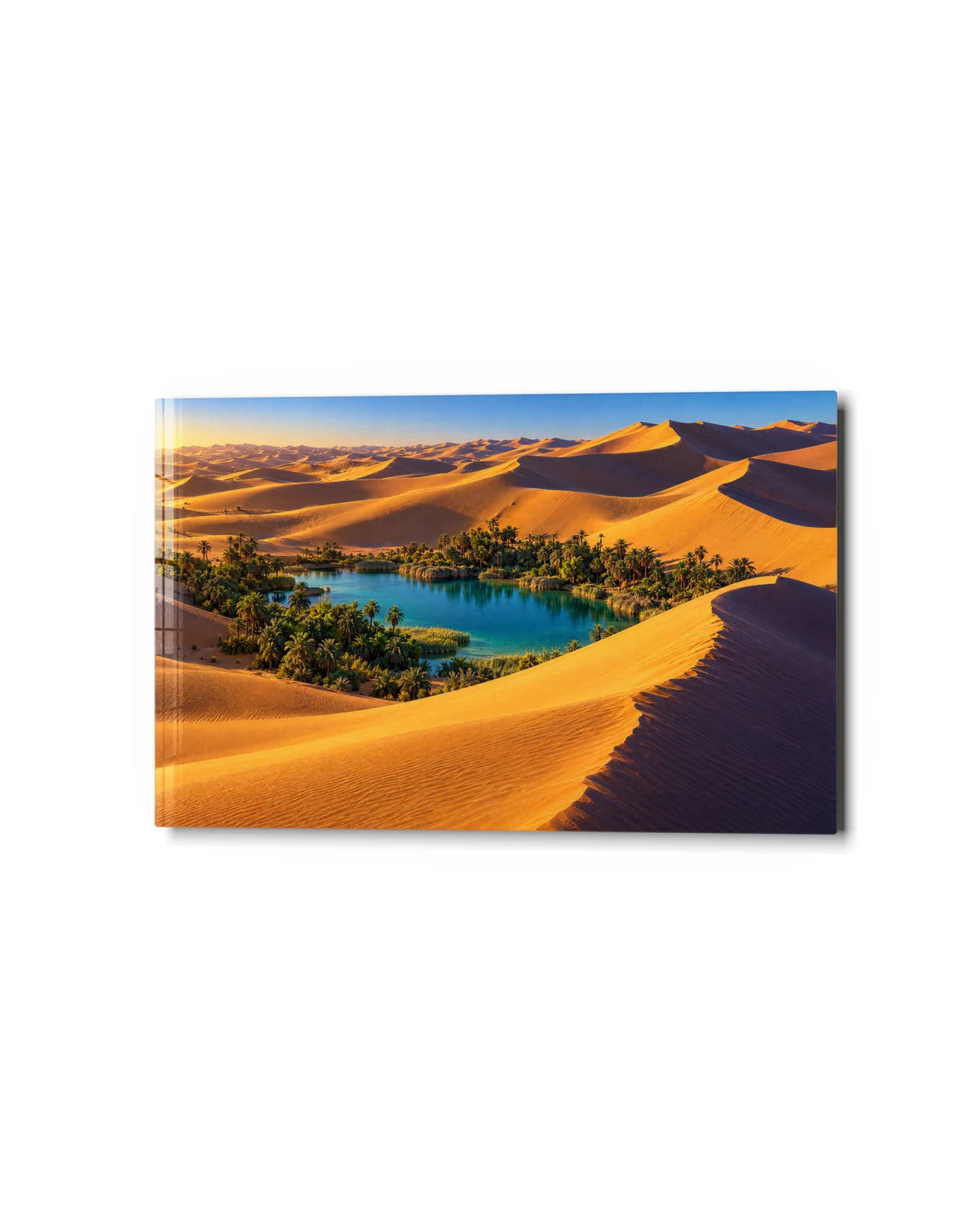 Oasis in the Dunes — studio view of glass wall art