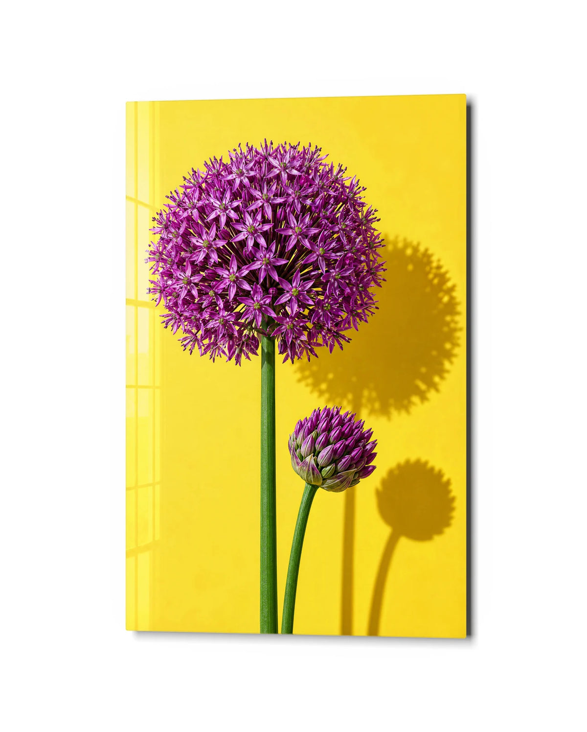 Allium on Lemon — studio view of glass wall art
